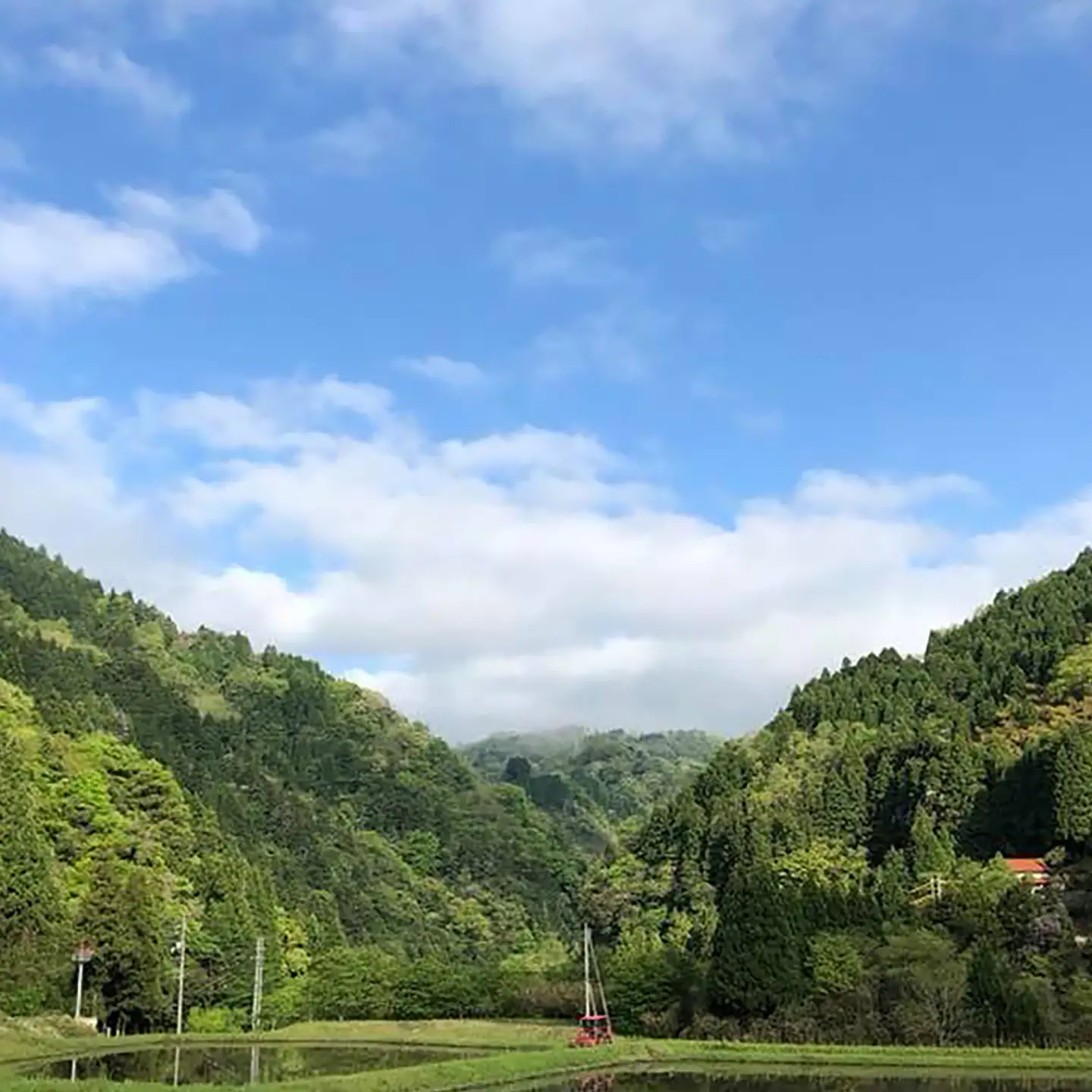 杵つき玄米スープもち 120g×3袋 | 杵つき もち 玄米 スープもち 簡単 時短 餅 島根県雲南市/株式会社吉田ふるさと村[AIBB027]