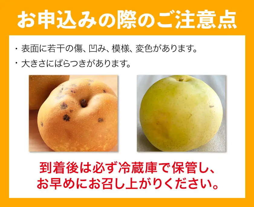 【ふるなびWEEK対象】旬の梨 約8kg 幸水 豊水 にっこり梨