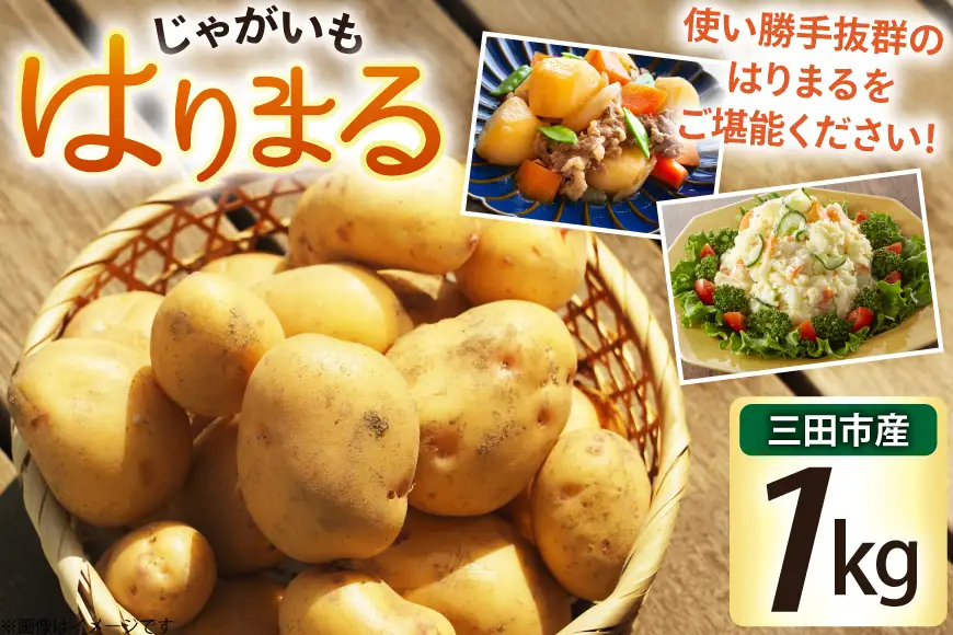 じゃがいも はりまる 1kg 【期間限定発送】