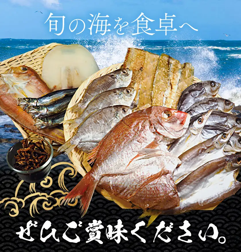 はまみや海産 美波 の 特選 干物セット 大セット 干物
