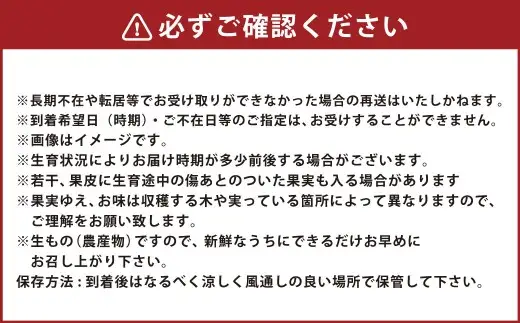小国紅 「 レンジでチン 」 3kg （ Lサイズ 1本 × 10本 ） × 2箱 計6kg やさい 野菜 甘み 国産 熊本県産 サツマイモ さつまいも 芋 濃厚 ミネラル スイーツ 【 2026年12月上旬発送開始 】