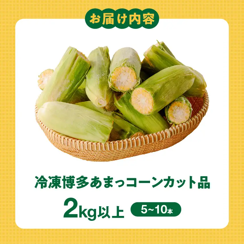 冷凍便！旬の時期に冷凍したSDGs米糠堆肥で作った博多あまっコーンカット品 2kg以上（5～10本） 〔Gv051-01〕