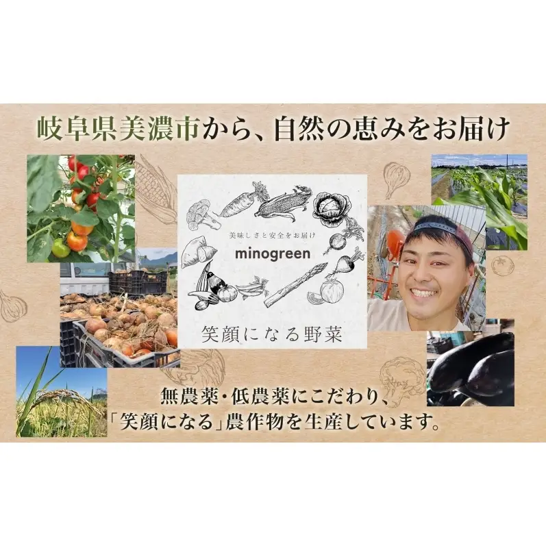 はつしも 精米 低農薬 新米 はつしも【30kg】【先行予約】