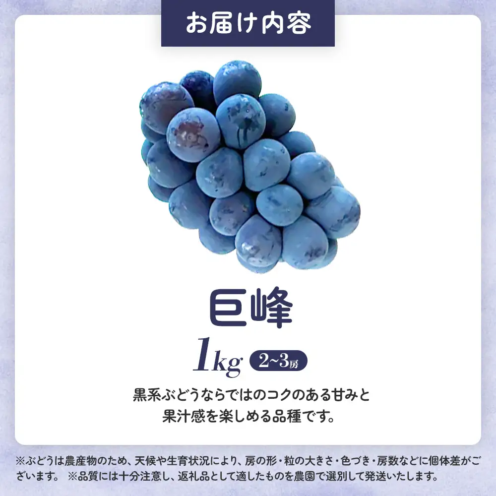 山梨県甲斐市産　化学肥料不使用で育った巨峰　約1㎏　巨峰