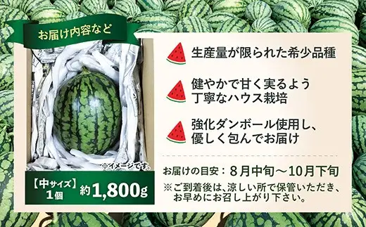 シャリっと甘い小玉スイカ！あきた夏丸チッチェ＜中1個＞　60P3405【ひない渡辺農園しどけ村】