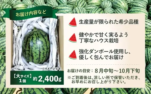 シャリっと甘い小玉スイカ！あきた夏丸チッチェ＜大1個＞　70P3404【ひない渡辺農園しどけ村】