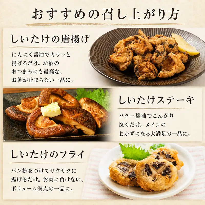 【先行予約】生しいたけ Lサイズ 約500g 秋山農場 しいたけ