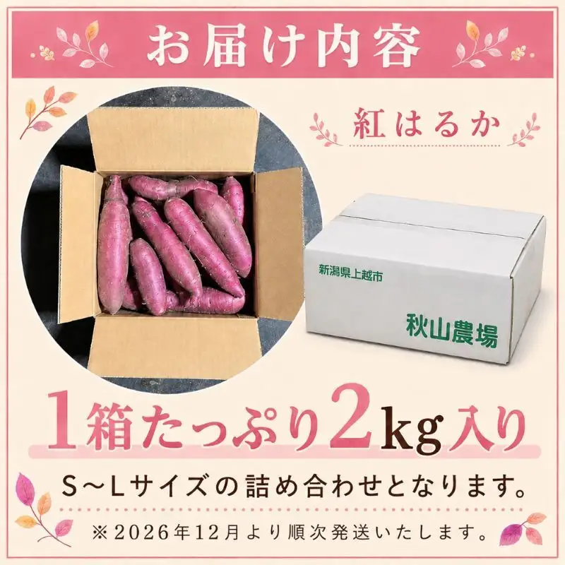 【先行予約】紅はるか さつまいも 約2kg 秋山農場 さつまいも