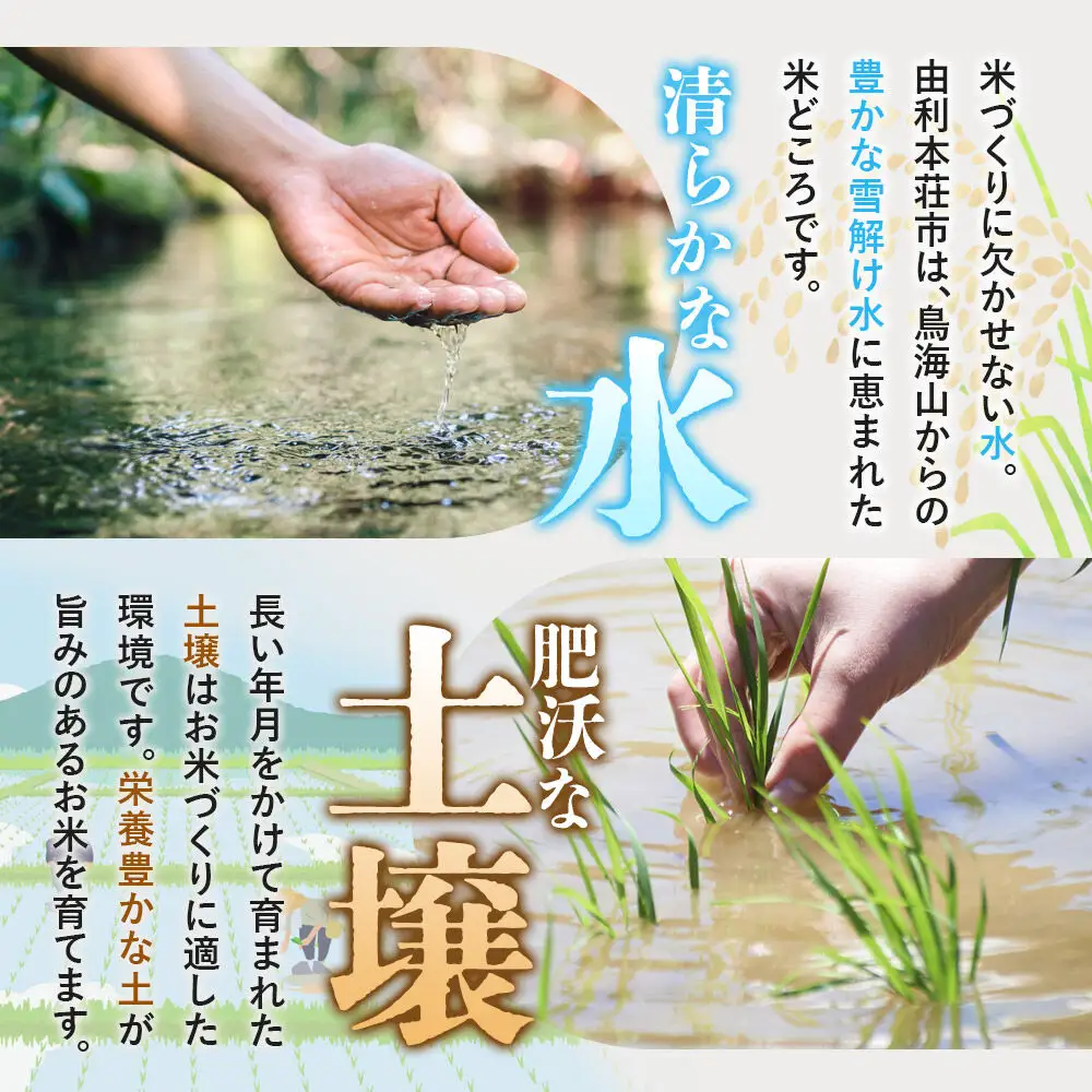 《令和8年産 新米受付》《定期便10ヶ月》【白米】サキホコレ4kg（2kg×2袋）×10回 計40kg 精米 特A評価米 秋田県産