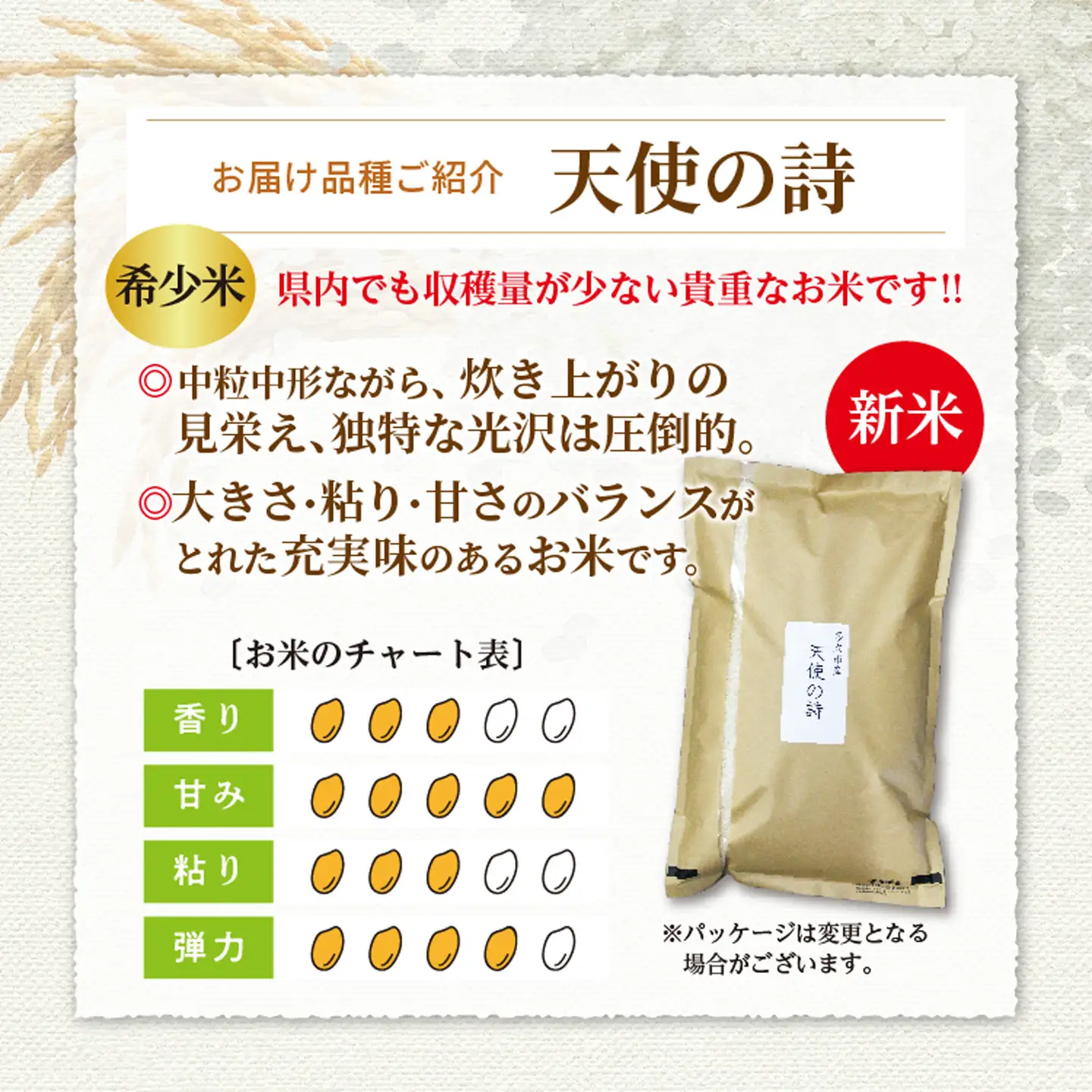 【令和8年産 新米 予約】天使の詩 精米 10kg（5kg×2袋）佐賀県産 白米 _c-128