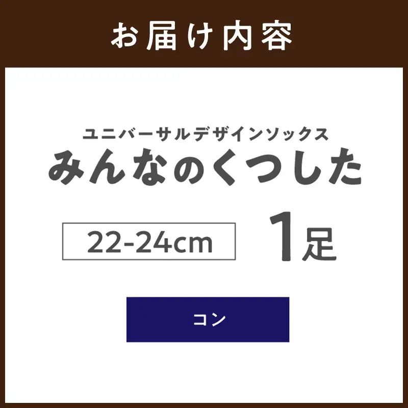 みんなのくつした 1足(22-24cm)【コン】【2500T16802_02】
