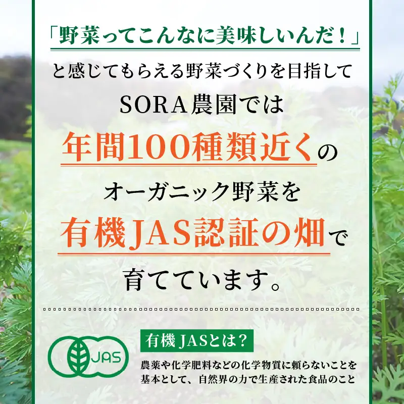 【先行予約11月下旬～】有機にんじん5kg オーガニック野菜 人参｜にんじん