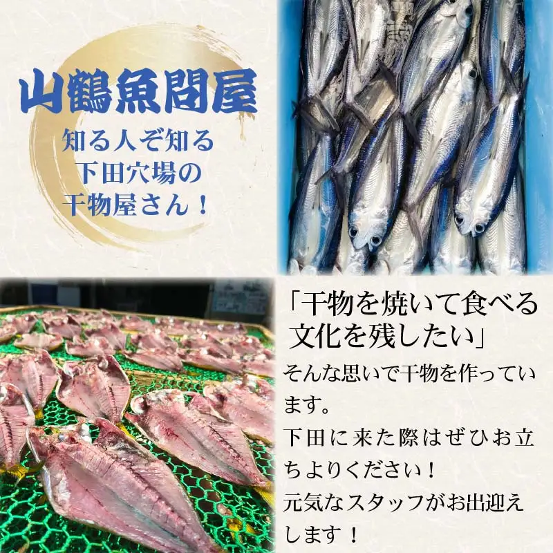 冷蔵 ひもの 干物 3種 6枚以上 セット ひもの 国産