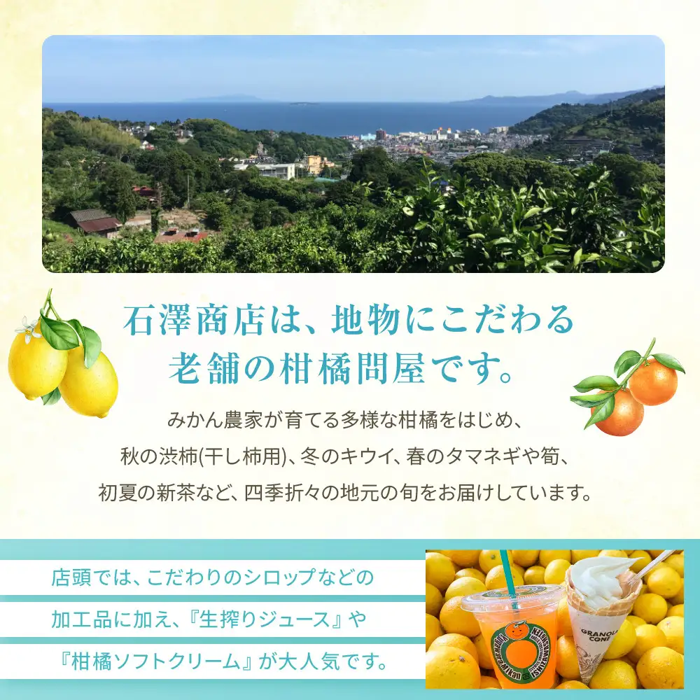 橙柑シロップ　520ml| 湯河原町 湘南 柑橘 だいだい シロップ 手作り フルーツ アレンジ