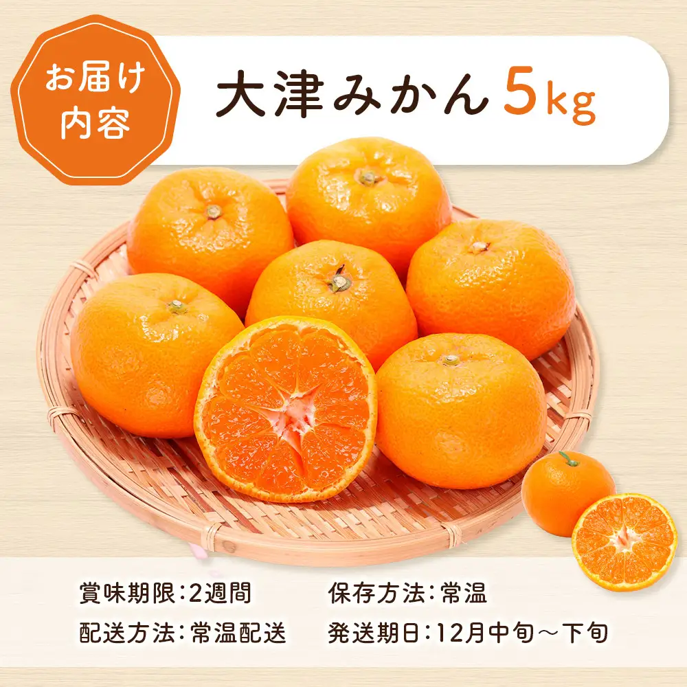 大津みかん 5kg | 湯河原町 湯河原発祥 みかん 柑橘 旬 大津4号 5kg フルーツ