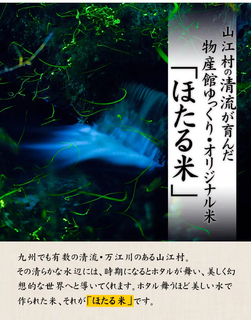 令和7年産 米 熊本県山江村産 ほたる米 5kg 5kg × 1袋 株式会社 やまえ《30日以内に出荷予定(土日祝除く)》熊本県 球磨郡 山江村 米 ほたる米 こめ コメ