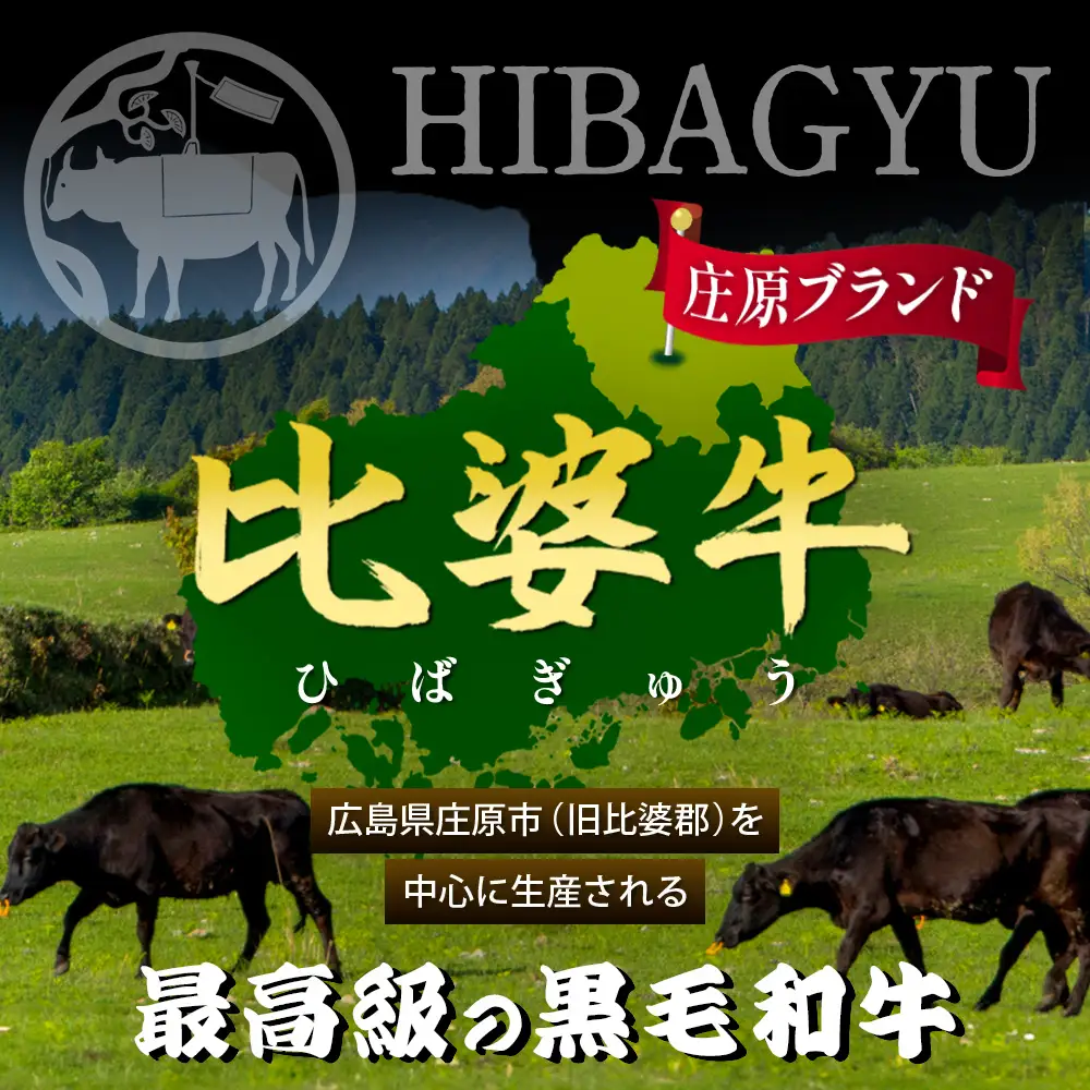 【比婆牛】A5～A4ランク プレミアムセット 1600g(200g×8枚) | 牛肉 黒毛和牛 ステーキ サーロイン ロース