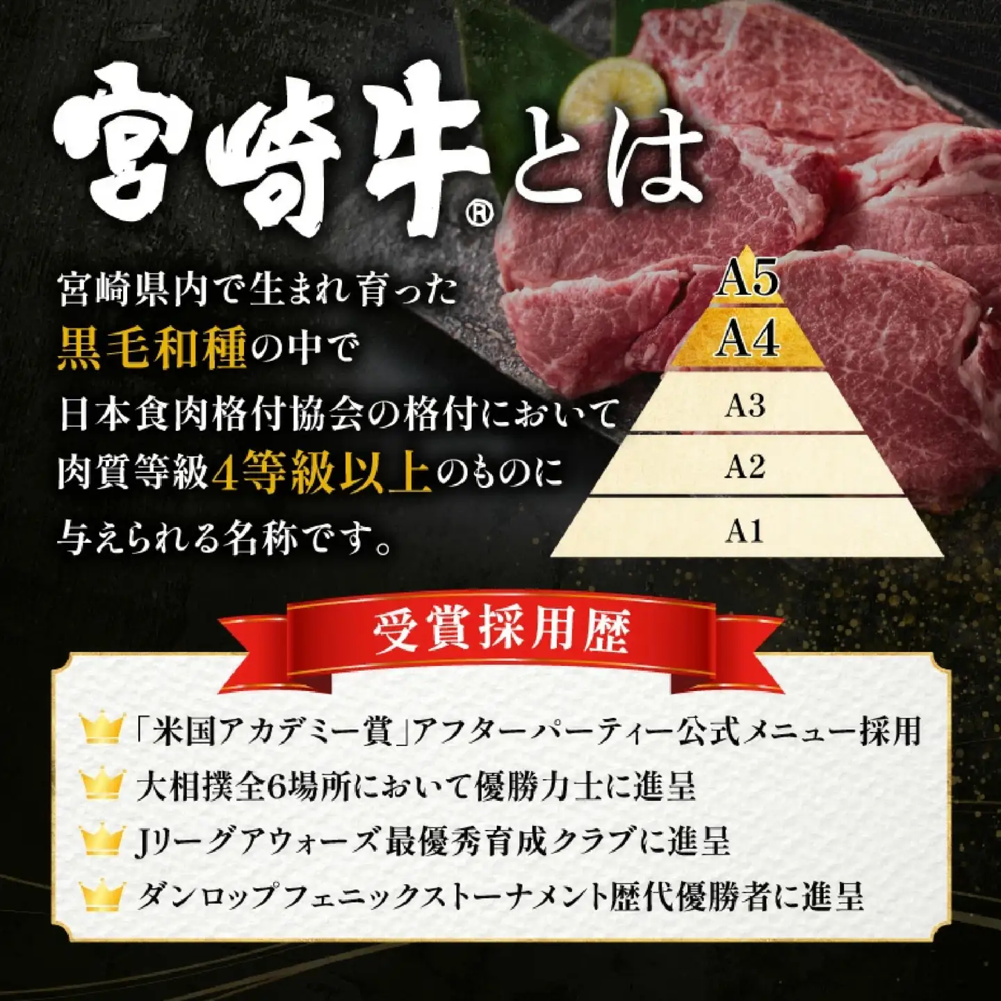 牛肉 宮崎牛 サーロインステーキ・切り落としセット計1kg 牛肉