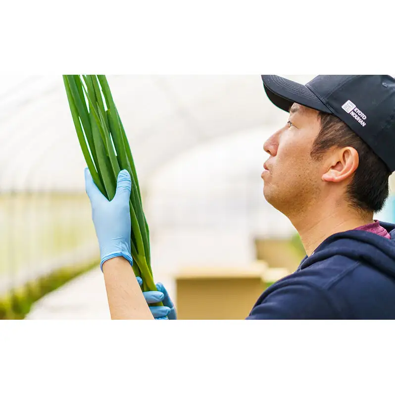 餃子 九条ねぎギョーザ 京野菜 国産豚肉 餃子【12個入×5袋】【冷凍】