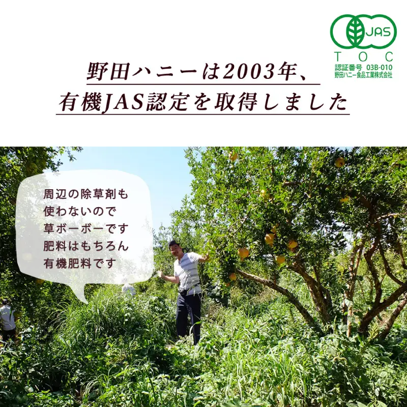 ざくろジュース 180ml×12本 有機ざくろ 無添加