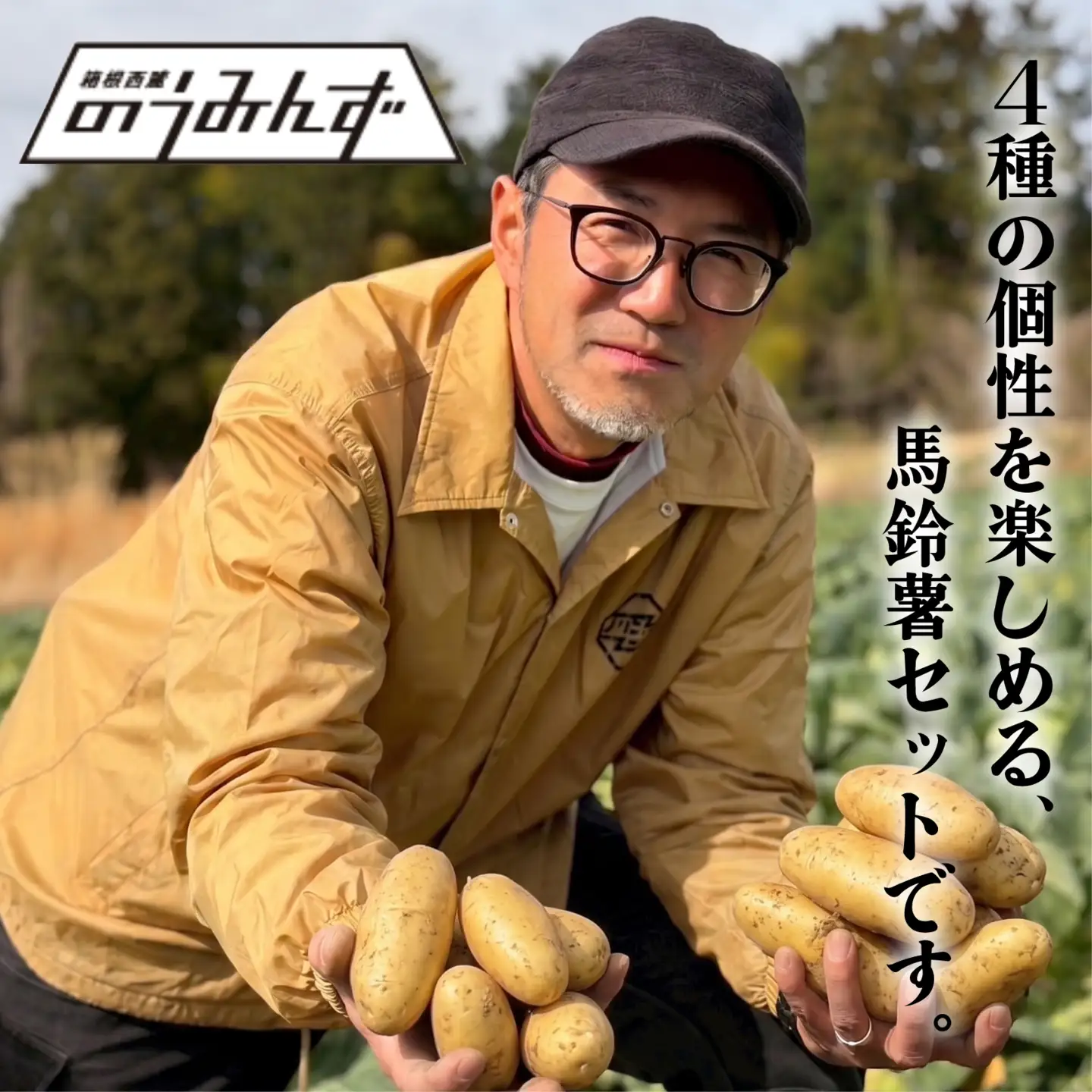【先行予約2026年7月上旬より順次発送】 馬鈴薯 4種 約5kg じゃがいも 馬鈴薯 メークイン キタアカリ キタカムイ グランドペチカ みしまコロッケ