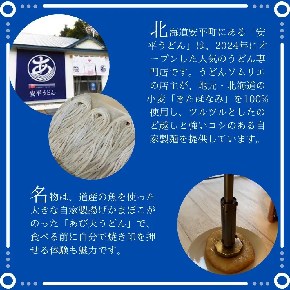 【ふるさと納税】 地元の小麦粉を使って、うどんソムリエが作った冷凍＜生＞うどん 1パック（2人前） 北海道 安平町