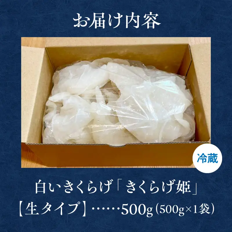 白いきくらげ「きくらげ姫」(生タイプ)500g きくらげ 白いきくらげ 木耳