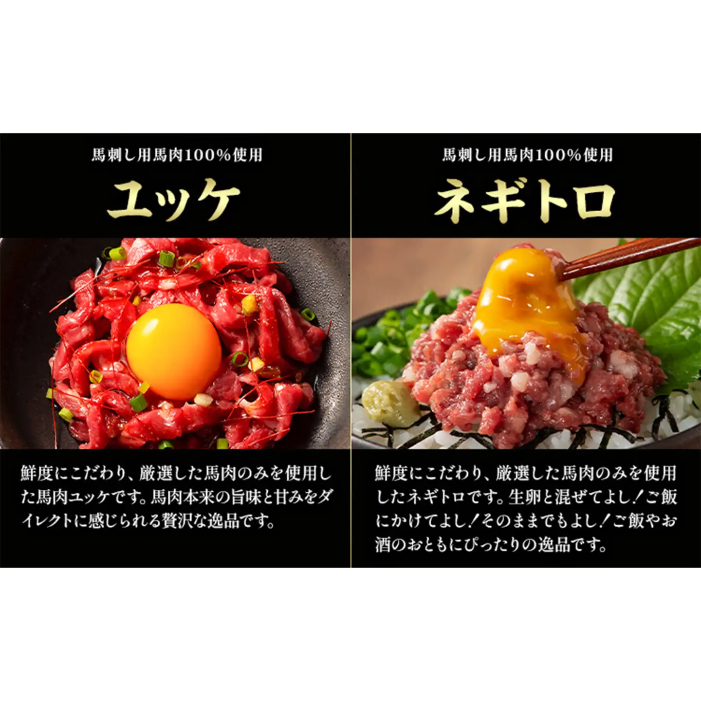本場 熊本特産 ふじ馬刺し上級赤身 3種 と ユッケ ネギトロ の 詰め合わせ 亀井通産株式会社《30日以内に出荷予定(土日祝除く)》 熊本県 菊池市 肉 馬肉 国産 赤身 上赤身 ロース ランプ ユッケ ネギトロ 馬肉 赤身 ふじ馬刺し セット 食べ比べ
