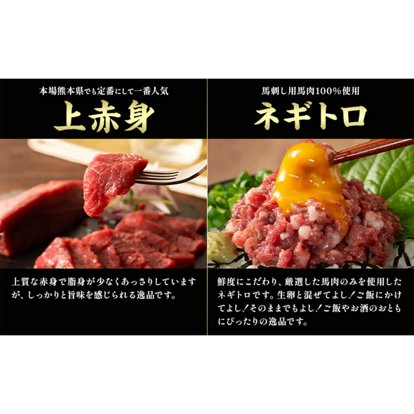 馬肉 熊本特産 フジチクオリジナル 特選 馬刺し 8種 セット 亀井通産株式会社《30日以内に出荷予定(土日祝除く)》 熊本県 菊池市 肉 馬肉 メン 大トロ 中トロ ヒレ シャトーブリアン ロース ランプ 上赤身 ネギトロ ふじ馬刺し セット 食べ比べ