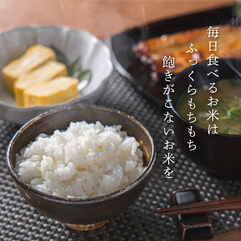 三重県産 山本農産のお米(コシヒカリ)3kg　yn12