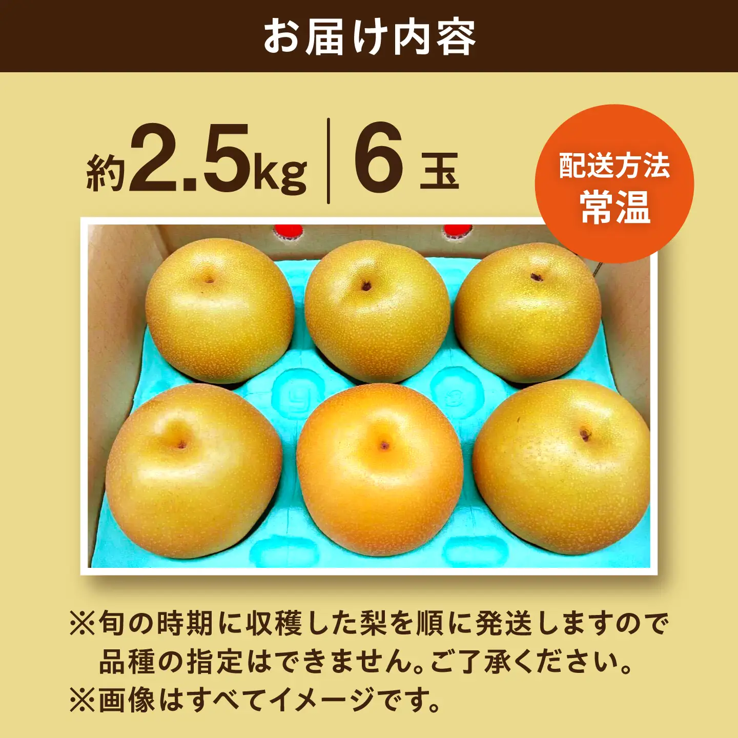 梨 約2.5kg /朝どれ梨 [ACZC011]
