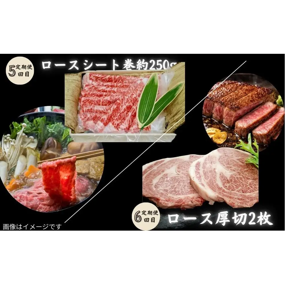 【宇陀里牛 定期便6回 (小人数向け) 】宇陀里牛 食べきりサイズ ／ふるさと納税 宇陀里牛 黒毛和牛 少量 牛肉セット 焼肉 ステーキ すき焼き 6回配送 国産和牛 光福久屋 奈良県 宇陀市