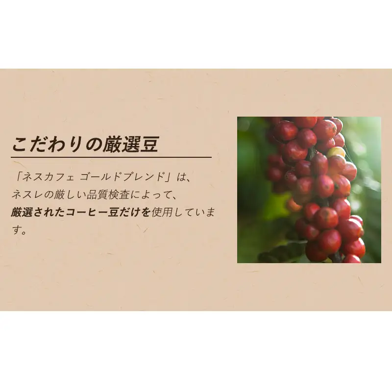 インスタントコーヒーネスカフェゴールドブレンドインスタントコーヒー【2g×20P×12箱】