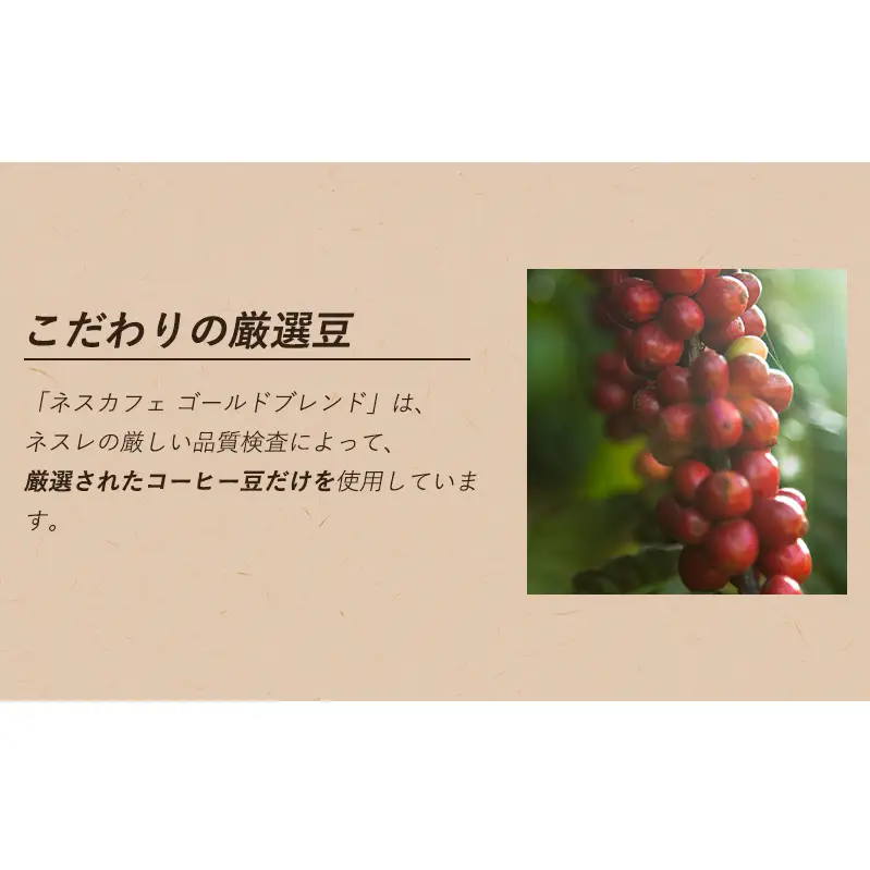 インスタントコーヒーネスカフェカフェインハーフインスタントコーヒー【2g×20P×12箱】