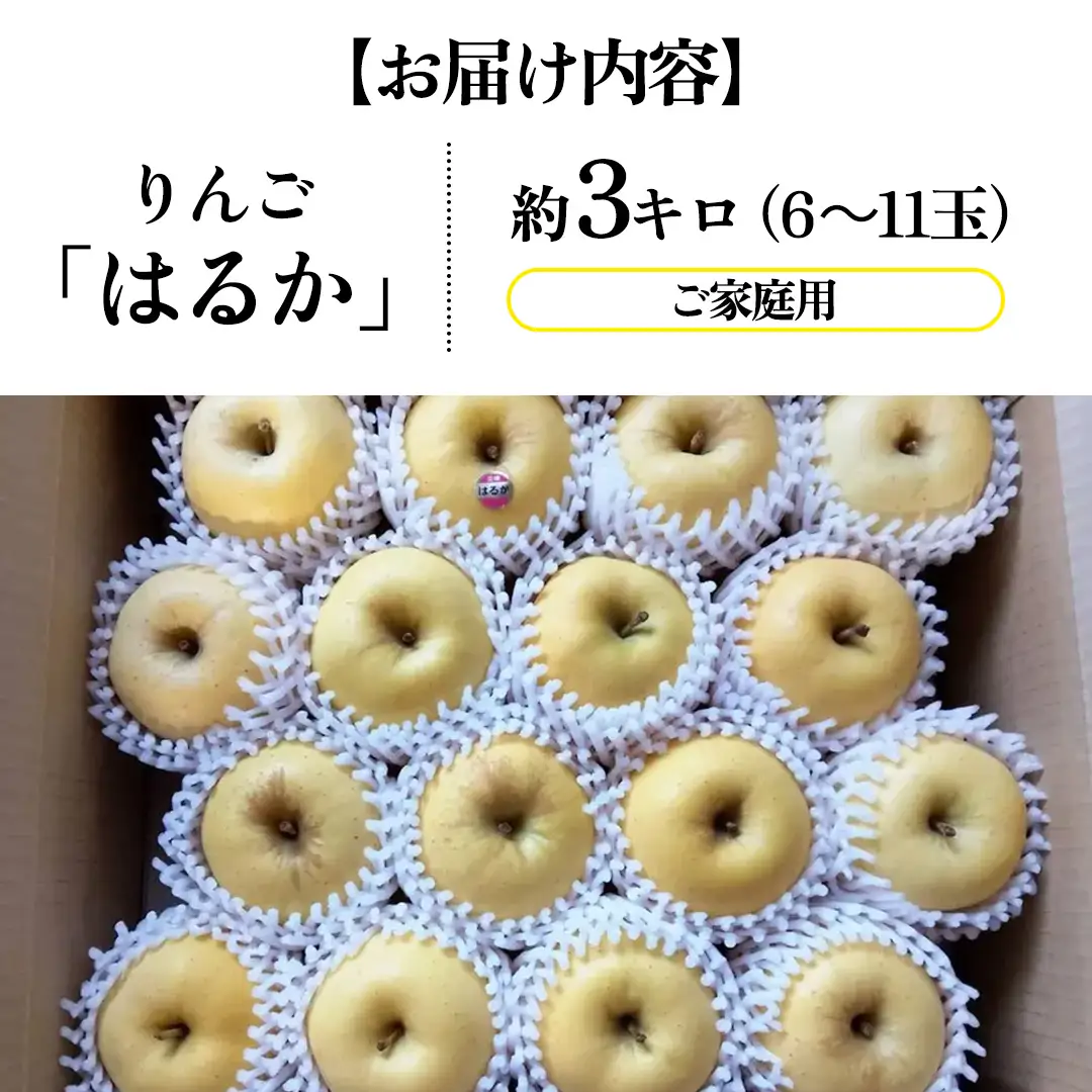 【ご家庭用】りんご はるか 約3kg (FH003) りんご