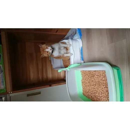 N393　森のねこトイレ　２．５Ｌ×１２袋