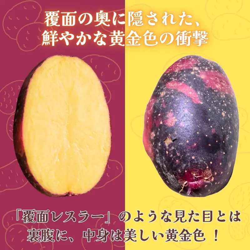 じゃがいも デストロイヤー 2kg