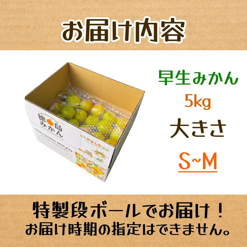 【先行予約】【2026年10月下旬順次発送】 早生みかん 5kg みかん 早生 柑橘 果物  国産 農家直送 徳島県 小松島市