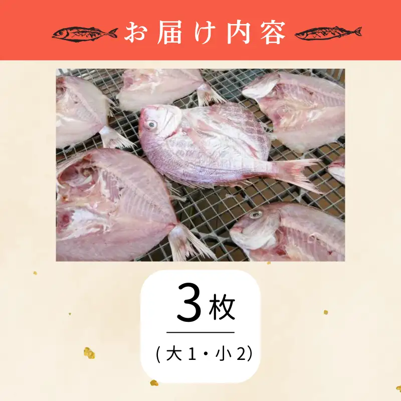 干物 3枚 鳴門鯛 干物セット