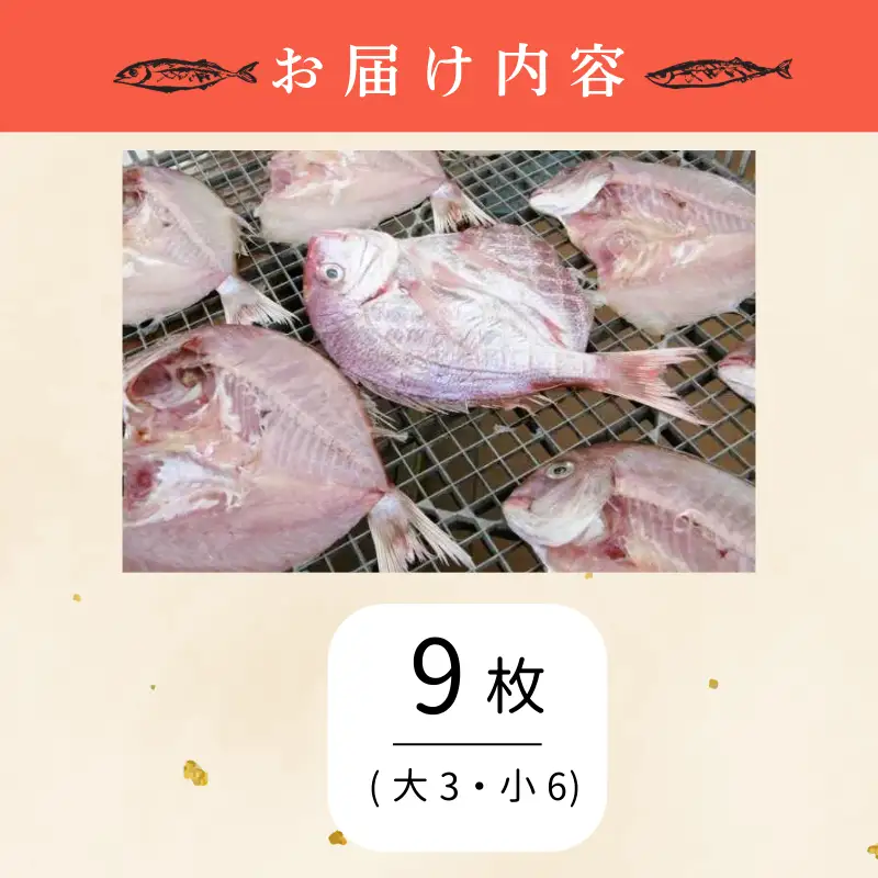 干物 9枚 鳴門鯛 干物セット