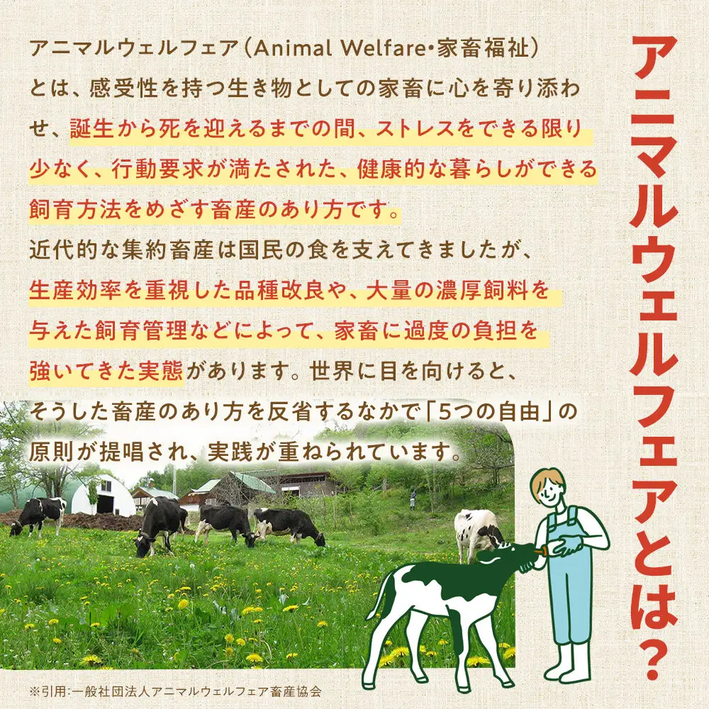  【6回定期便】北海道旭川産 チーズ・ヨーグルト・牛乳　4種セット  バター  _05820