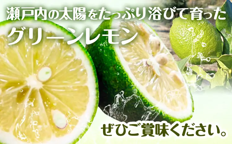 グリーン レモン 訳あり 1kg 三ツ山レモンファーム 檸檬