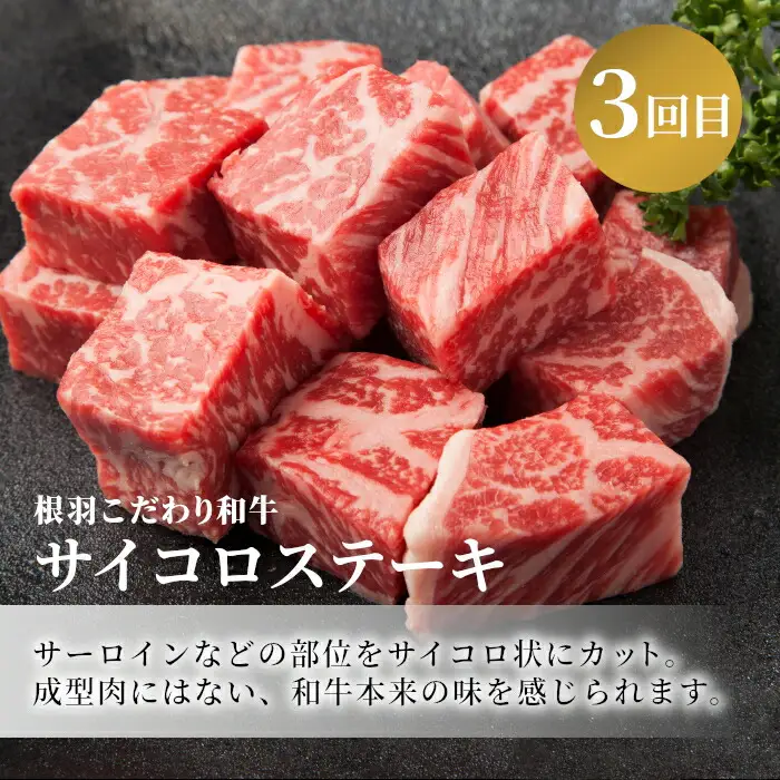 全3回★黒毛和牛 ステーキ定期便 ヒレステーキ ロースステーキ サーロインステーキ サイコロステーキ 希少部位 和牛 牛肉 肉 牛 焼き肉 ステーキ バーベキュー 定期便 限定 50000円 5万円 肉定期 長野県 根羽村