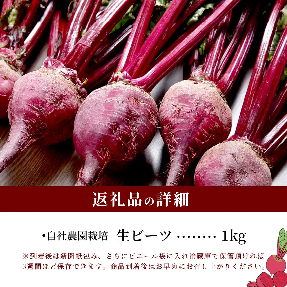 自社農園栽培 生 ビーツ 1kg 熊本県 産 スーパーフード 115-0611