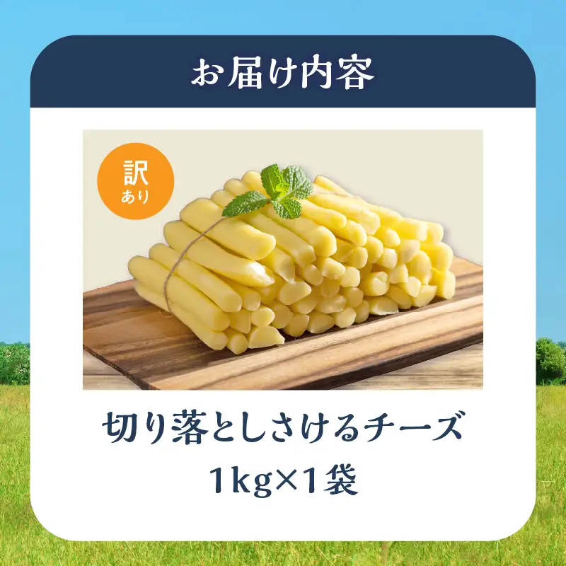 【おおともチーズ工房】期間限定《ふるさと納税限定》切り落としさけるチーズ(計1kg)_H0003-121