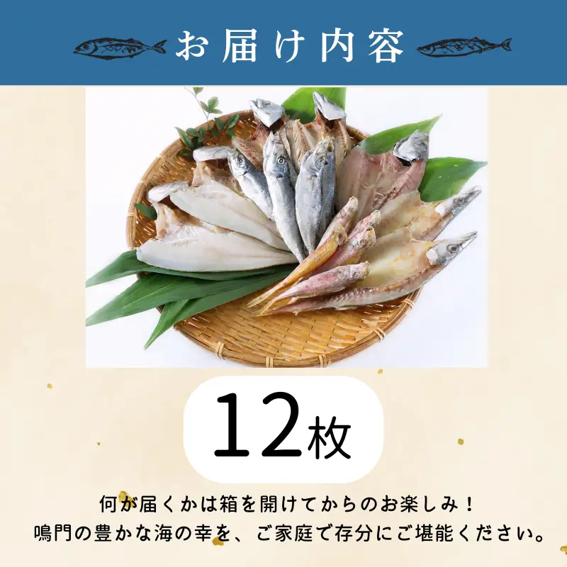 干物 詰め合わせ 4種以上 12枚