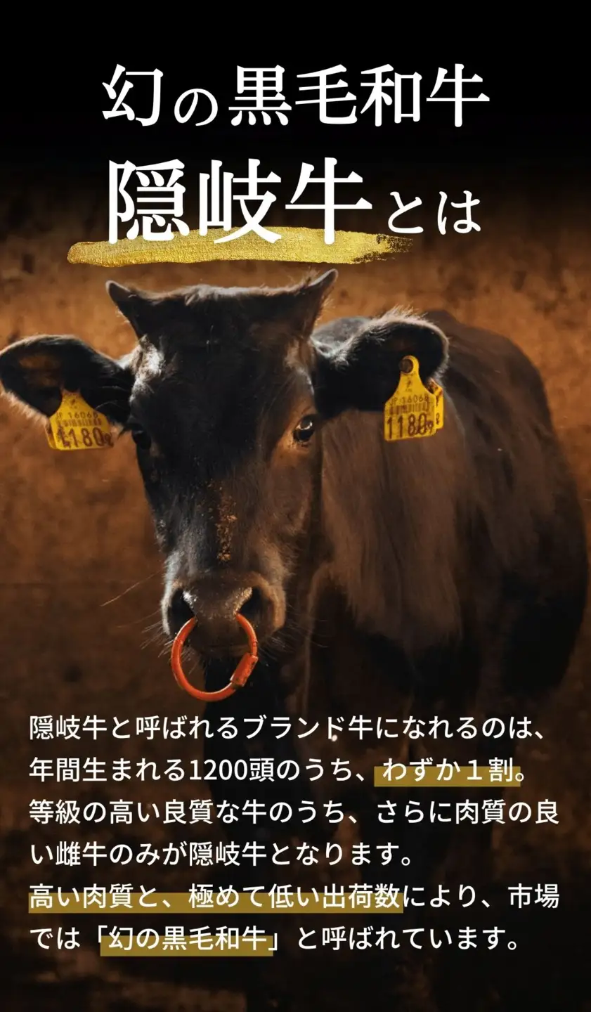 隠岐牛 和牛 切り落とし 400g A5 和牛 牛肉