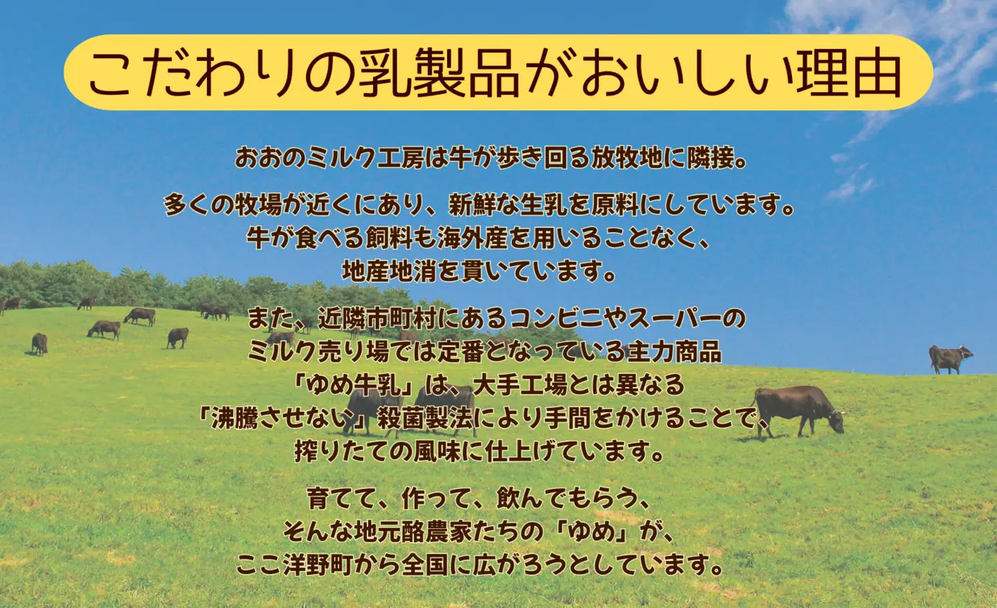 おおのミルク村 洋野三ツ星ヨーグルトセット