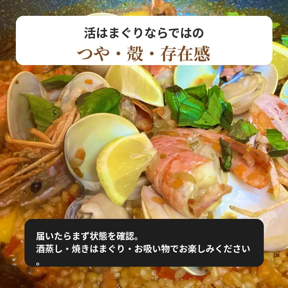 九十九里産　天然　活はまぐり（中玉～大玉） 約2kg（20～32個前後） / はまぐり ハマグリ 蛤 天然 活はまぐり 活ハマグリ 活蛤 中玉 大玉 貝 貝類 魚介 魚貝 海鮮 2kg 九十九里産 産地直送 産直 千葉県 匝瑳市
