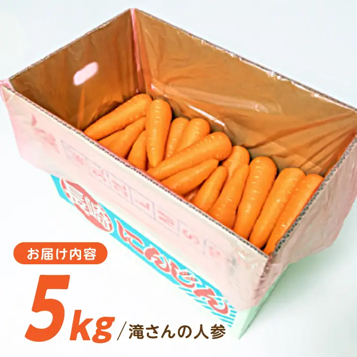 ※【2026年11月下旬より順次発送／先行予約】滝さんの人参 5kg / にんじん ニンジン 人参 carrot やさい 野菜 にんじんジュース 人参ジュース ニンジンジュース キャロット キャロットジュース / 諫早市 / 滝商店株式会社[AHCU007]